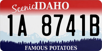ID license plate 1A8741B