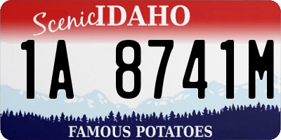 ID license plate 1A8741M