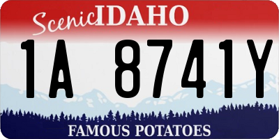 ID license plate 1A8741Y