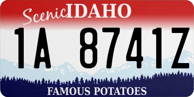 ID license plate 1A8741Z