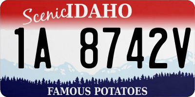 ID license plate 1A8742V