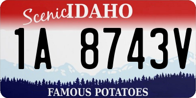 ID license plate 1A8743V