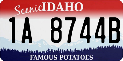 ID license plate 1A8744B