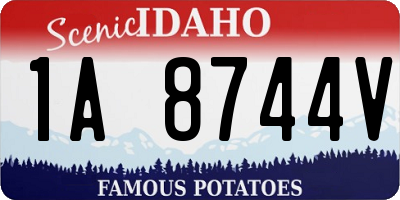ID license plate 1A8744V
