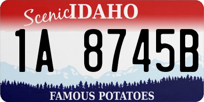 ID license plate 1A8745B