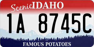 ID license plate 1A8745C