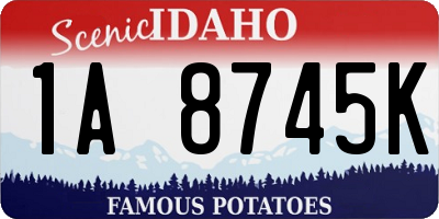 ID license plate 1A8745K