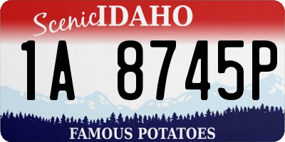 ID license plate 1A8745P