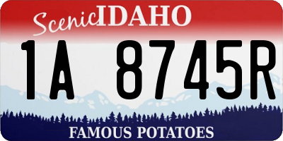 ID license plate 1A8745R