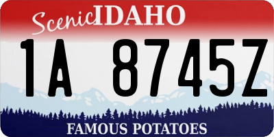 ID license plate 1A8745Z
