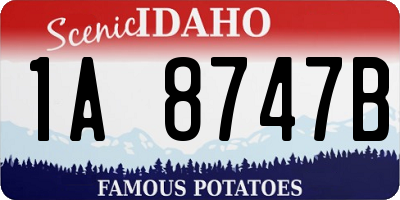 ID license plate 1A8747B