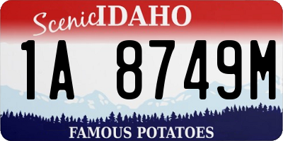 ID license plate 1A8749M