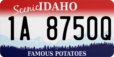 ID license plate 1A8750Q