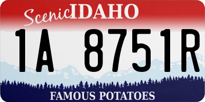 ID license plate 1A8751R