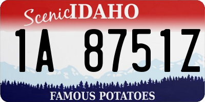 ID license plate 1A8751Z