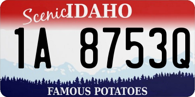 ID license plate 1A8753Q