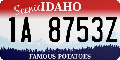 ID license plate 1A8753Z