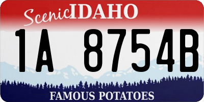 ID license plate 1A8754B