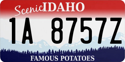 ID license plate 1A8757Z