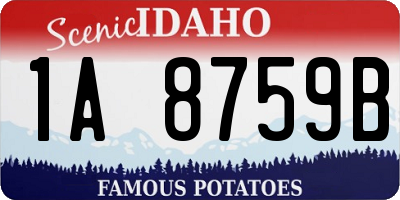 ID license plate 1A8759B