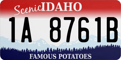 ID license plate 1A8761B