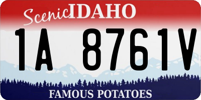 ID license plate 1A8761V