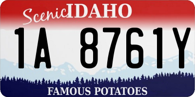 ID license plate 1A8761Y