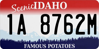 ID license plate 1A8762M