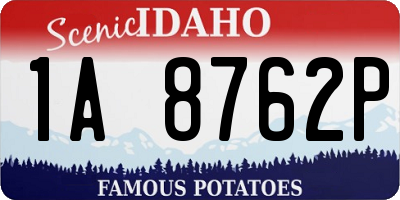 ID license plate 1A8762P