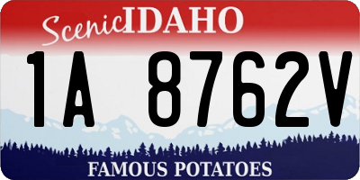 ID license plate 1A8762V