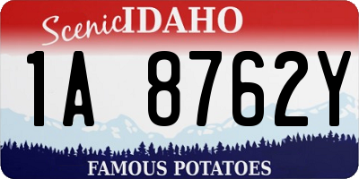 ID license plate 1A8762Y