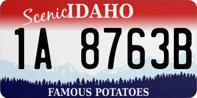 ID license plate 1A8763B