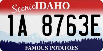 ID license plate 1A8763E