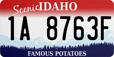 ID license plate 1A8763F