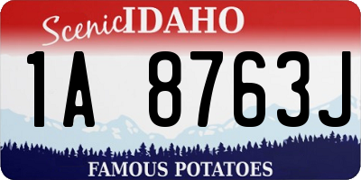 ID license plate 1A8763J