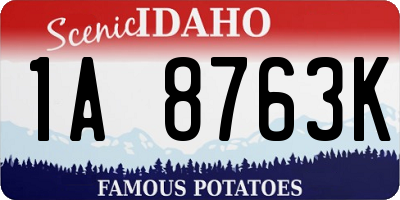 ID license plate 1A8763K