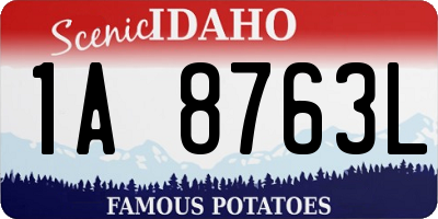 ID license plate 1A8763L