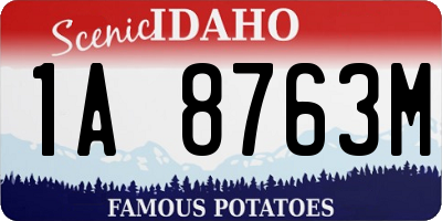 ID license plate 1A8763M