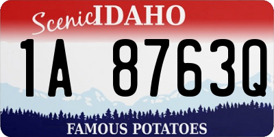 ID license plate 1A8763Q