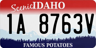 ID license plate 1A8763V