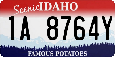 ID license plate 1A8764Y