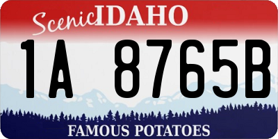 ID license plate 1A8765B