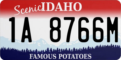 ID license plate 1A8766M