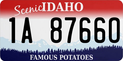ID license plate 1A8766O