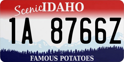 ID license plate 1A8766Z