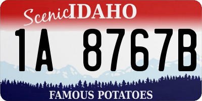 ID license plate 1A8767B