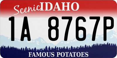 ID license plate 1A8767P