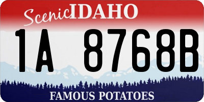 ID license plate 1A8768B