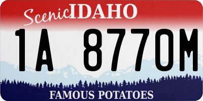 ID license plate 1A8770M