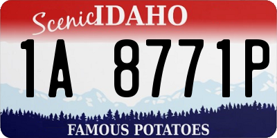 ID license plate 1A8771P